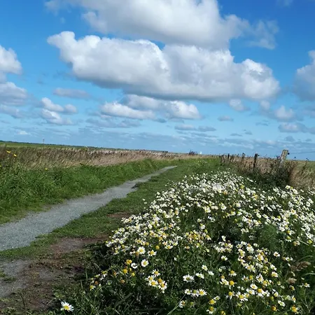 Urlaubsoase Und Meehr דירה *