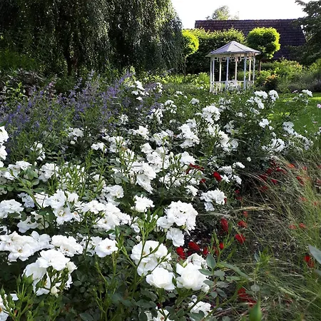 דירה Urlaubsoase Und Meehr *