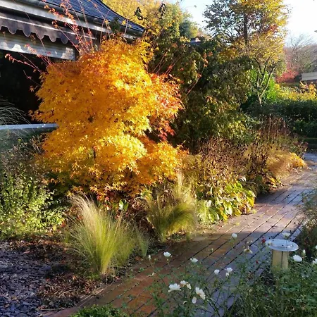 דירה Urlaubsoase Und Meehr Hage