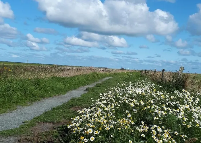 Urlaubsoase Und Meehr Lejlighed *