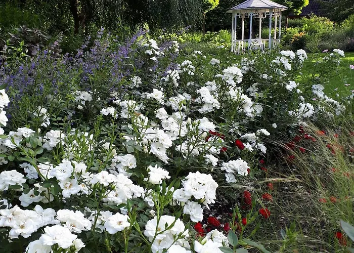 Lejlighed Urlaubsoase Und Meehr *